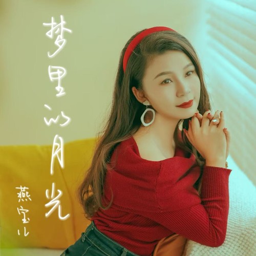 梦里的月光