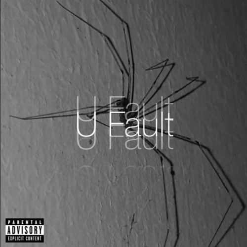 U Fault
