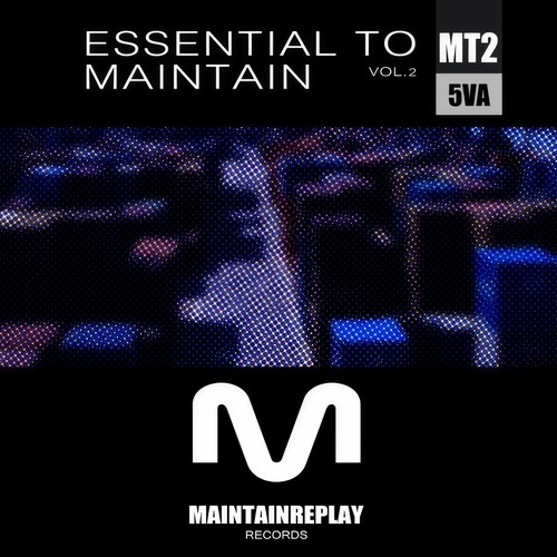 Essential To Maintain, Vol.2