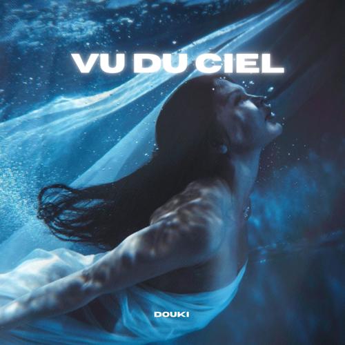 Vu du ciel