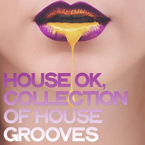 House Ok (Collection of House Grooves)