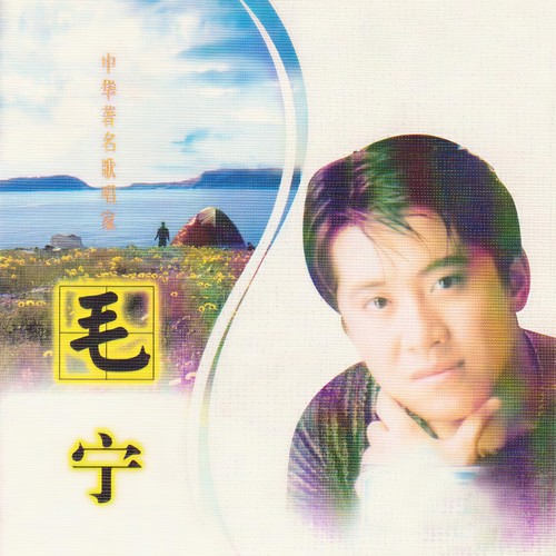 毛宁