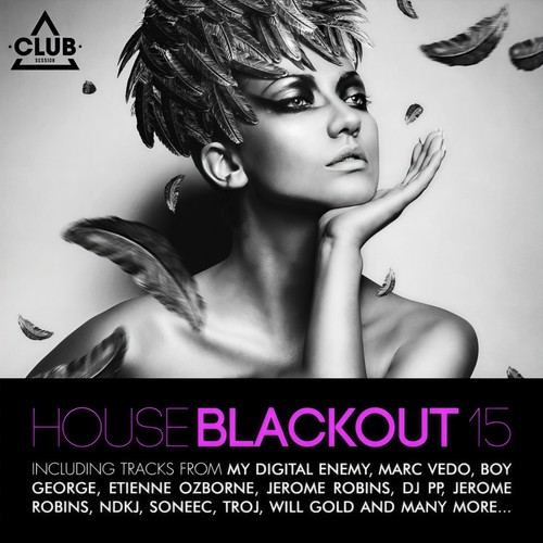 House Blackout, Vol. 15