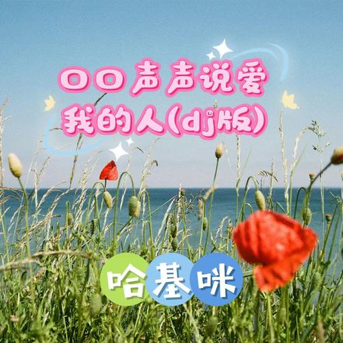 口口声声说爱我的人{dj版}
