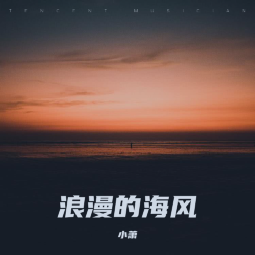 浪漫的海风