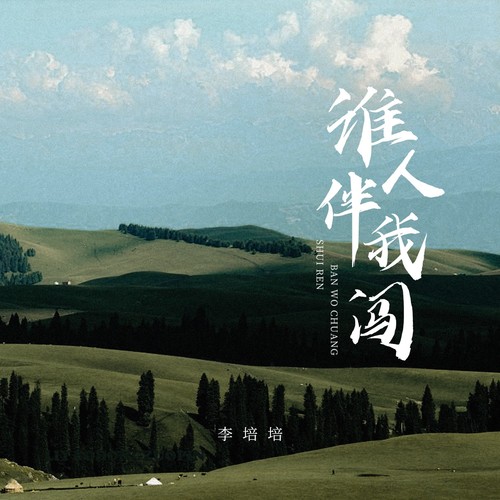 谁人伴我闯