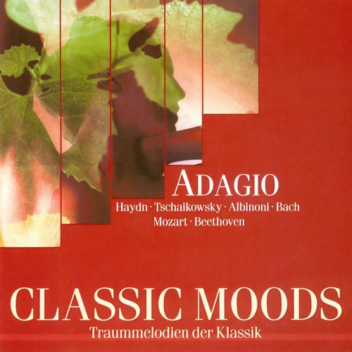 CLASSIC MOODS - ALBINONI, T.G. / HANDEL, G.F. / MARCELLO, A. / VIVALDI, A. / BACH, J.S. / MOZART, W.A. / BEETHOVEN, L. van / HAYDN, F.J.