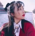 前尘应念 - 梨花少
