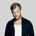 Avicii&Sebastien Drums&Norman Doray