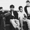 The Lightning Seeds