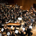 Sydney Symphony Orchestra&Vanco Cavdarski