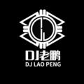 问（DJ咚鼓版|浪子鹏鹏 Remix） - DJ老鹏