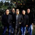 Los Lobos&Elvis Costello