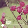 叮咚鸡大狗叫 (核酸神曲) - 尹小美