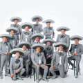 Mariachi Vargas de Tecalitlan&Bebu Silvetti