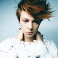 La Roux&Fox The Fox