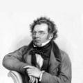 Franz Schubert&Budapest Strings