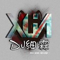 天若有情 (DJ版) - DJ细霖