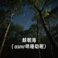舍得 - 鲸眠海（asmr哄睡助眠）