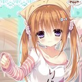 朗朗晴天 - 猫瑾