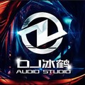 跳楼机 (DJ版) - dj冰鹤&dj阿鹤&淼淼哇