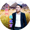 放纵 (cover: Sheep ღ) - 张晓万