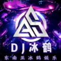 放纵 (dj冰鹤 remix) (Remix) - dj冰鹤&dj苏辰&dj鑫总