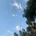 叮咚鸡+哪吒说唱+我是奶龙（神曲串烧） - 杨文浩