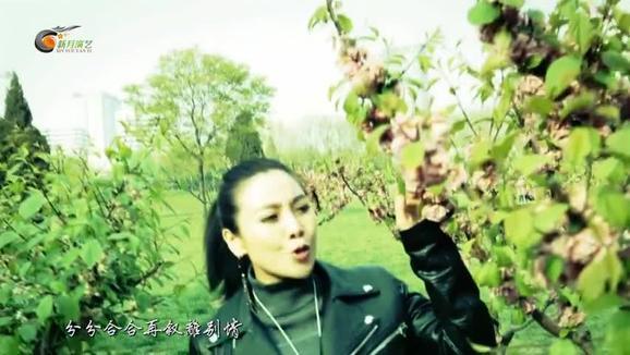 安东阳&司徒兰芳《盼情缘》