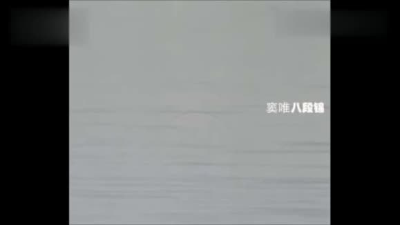 窦唯《十一庆1995》