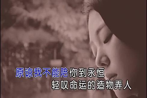 陈瑞《造物弄人 (发烧版)》