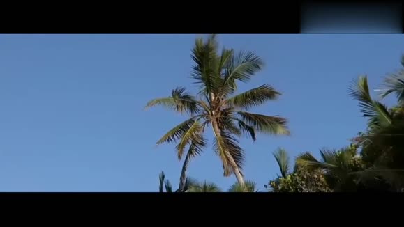 K-391 - Summertime