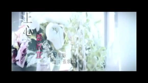郑欣宜《上心》