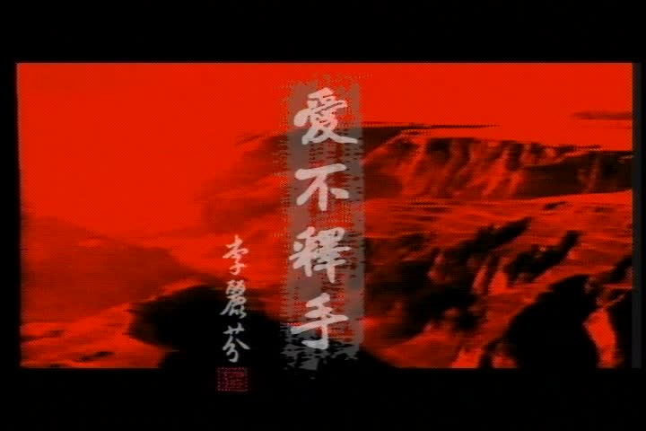 李丽芬《爱不释手》