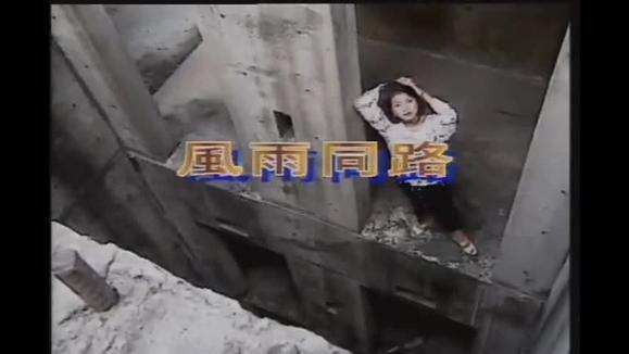 徐小凤《风雨同路》