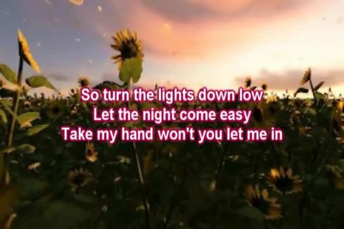 Sarah McLachlan《Turn The Lights Down Low》