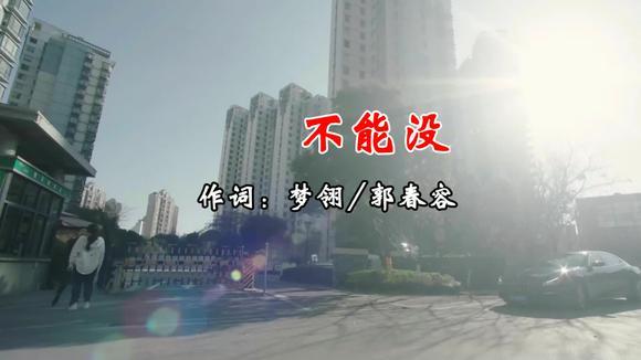 雨中百合《不能没有你》