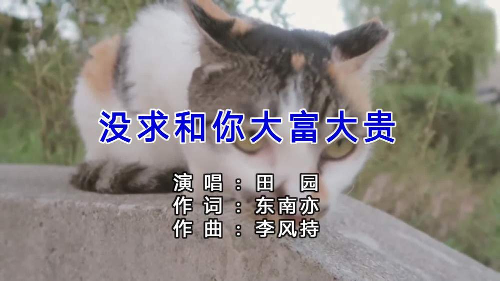 田园《没求和你大富大贵》