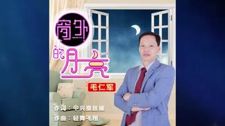 窗外的月亮-毛仁军