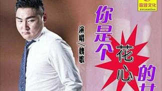 你是个花心的女人-魏歌