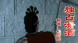 独占潇洒-林巧阳