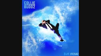 Blue Dreamz-Collie Buddz