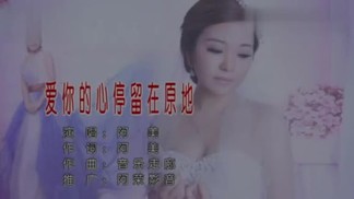 爱你的心停留在原地-阿美
