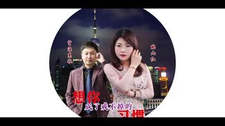 想你成了戒不掉的习惯-映山红