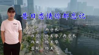 昔日恋情你都忘记-冉守长
