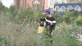 你爱的是他不是我