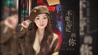 不能忘记的你-付海燕