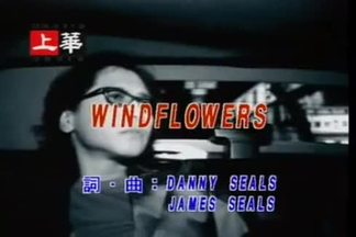 Windflowers-齐秦