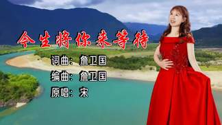 今生将你来等待（女版）-宋金贵