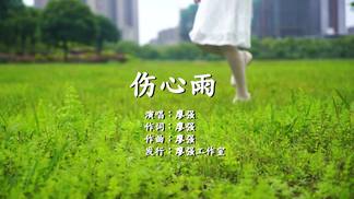伤心雨-廖强
